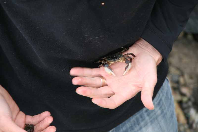 Nieuw-Zeeland 2011 - 1967